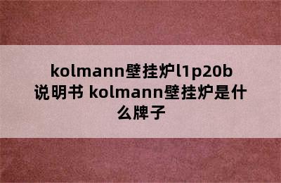 kolmann壁挂炉l1p20b说明书 kolmann壁挂炉是什么牌子